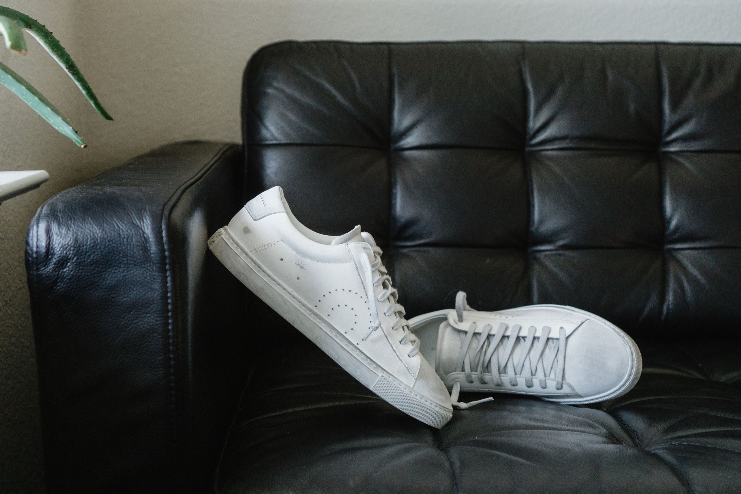 The Perfect Gift: Golden Goose Alternatives