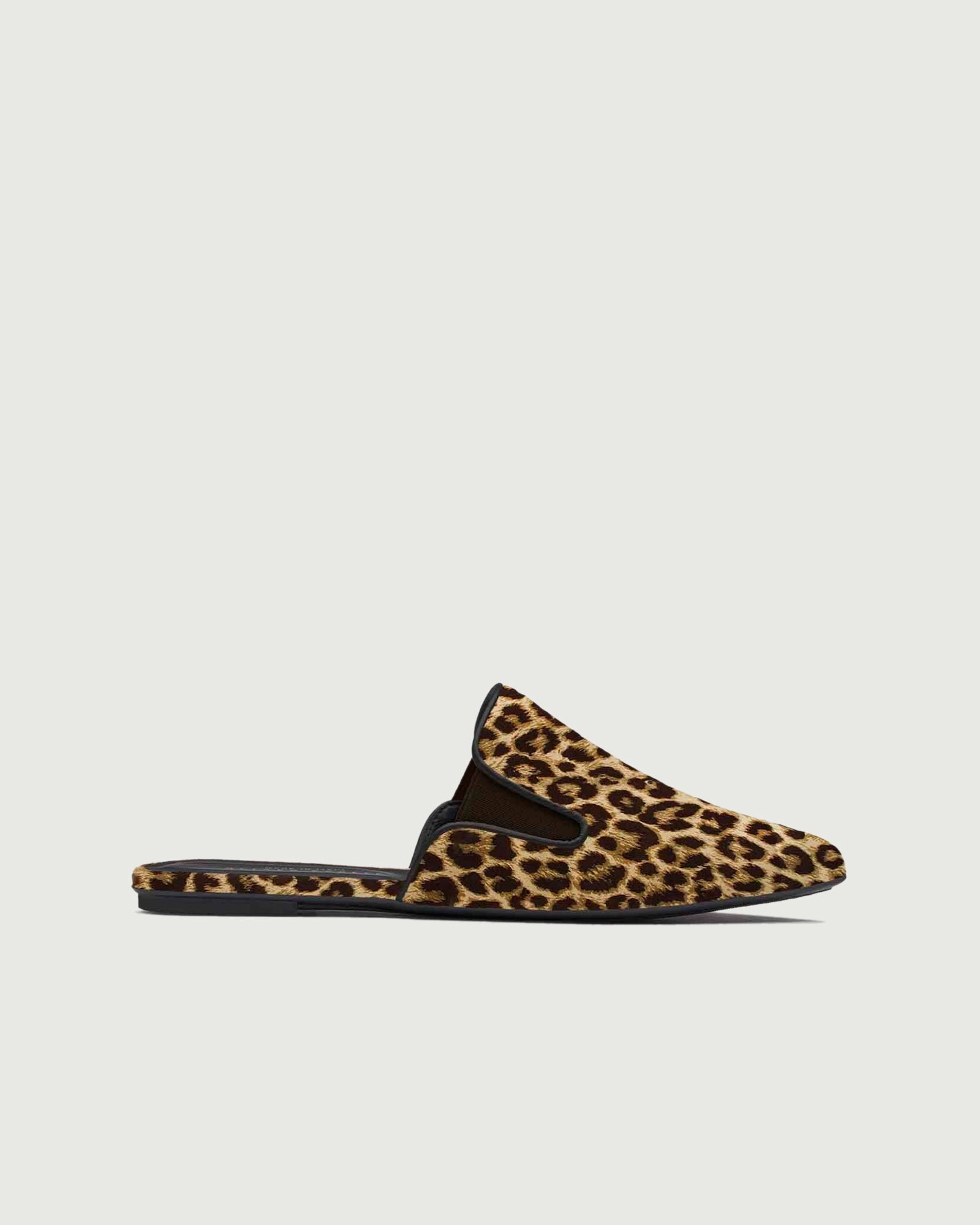 Dream Mule | Cheetah