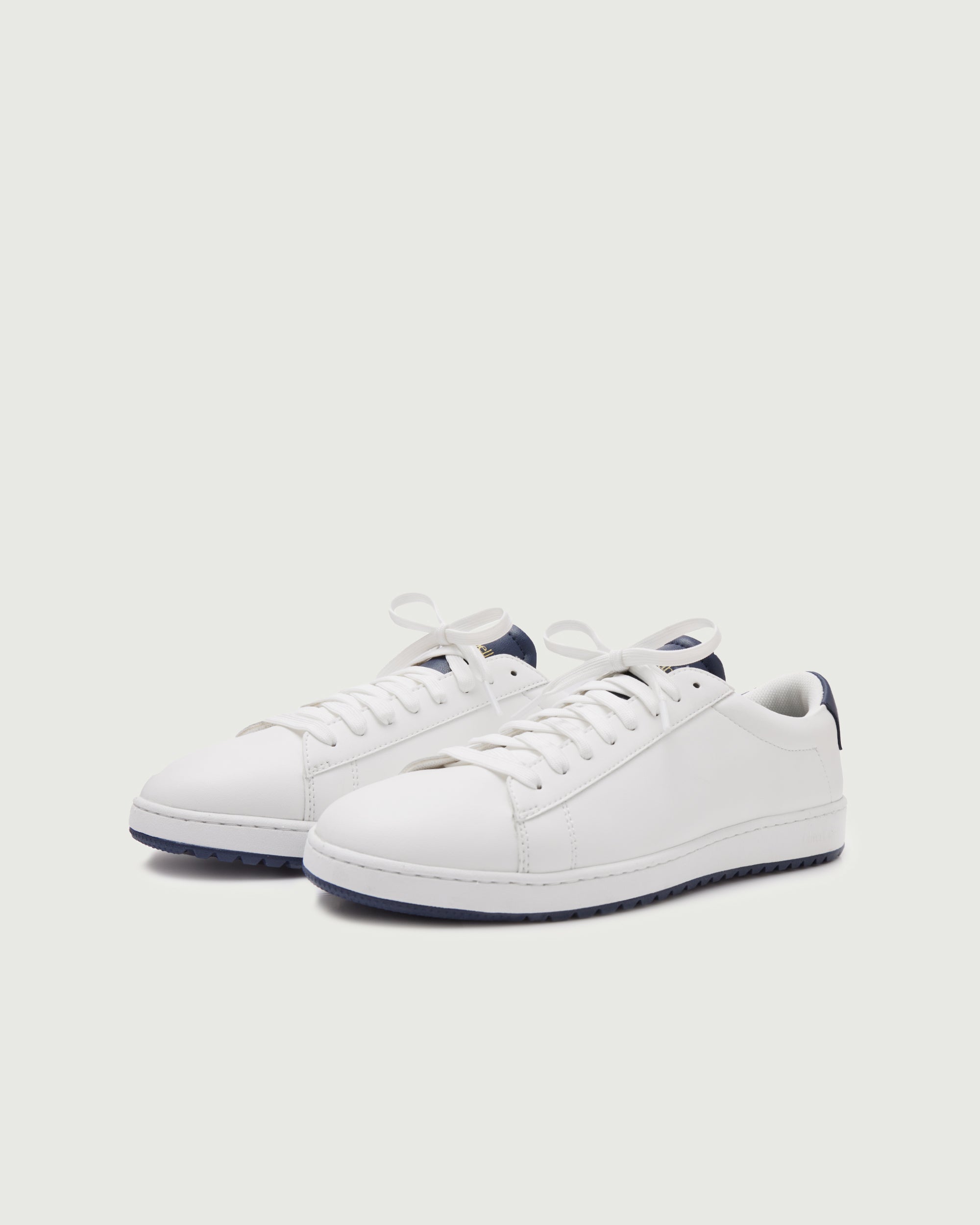 Low 1 Golf | Ocean