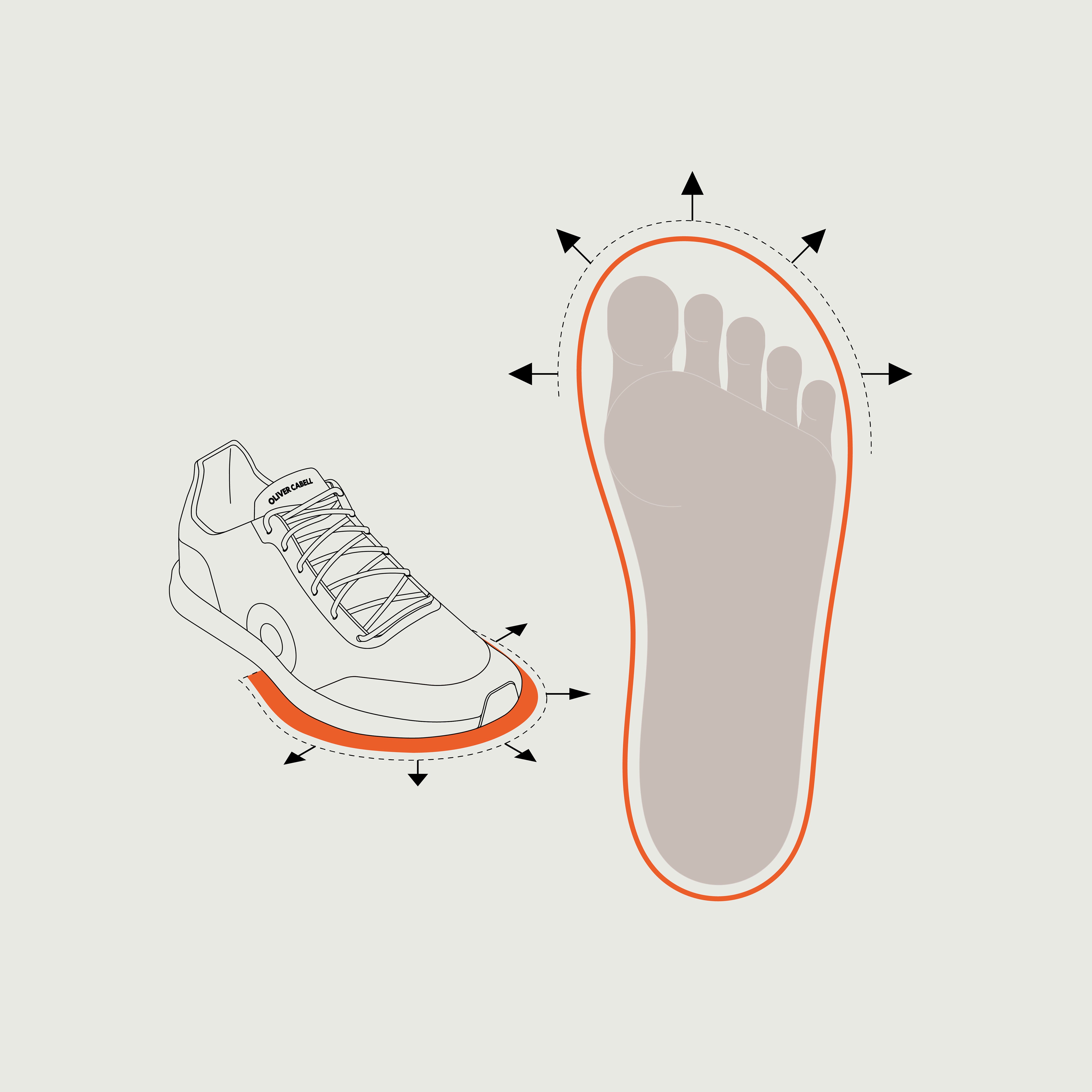 Low 1 | Chicago (Orthopedic) – Oliver Cabell