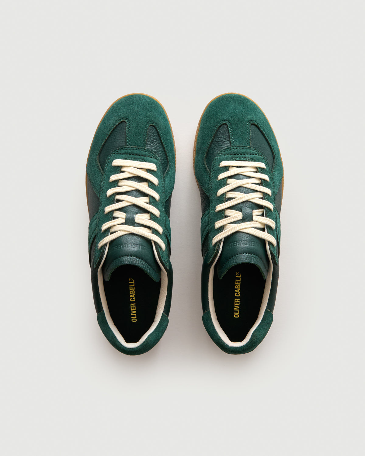 GAT | Pine / Gum