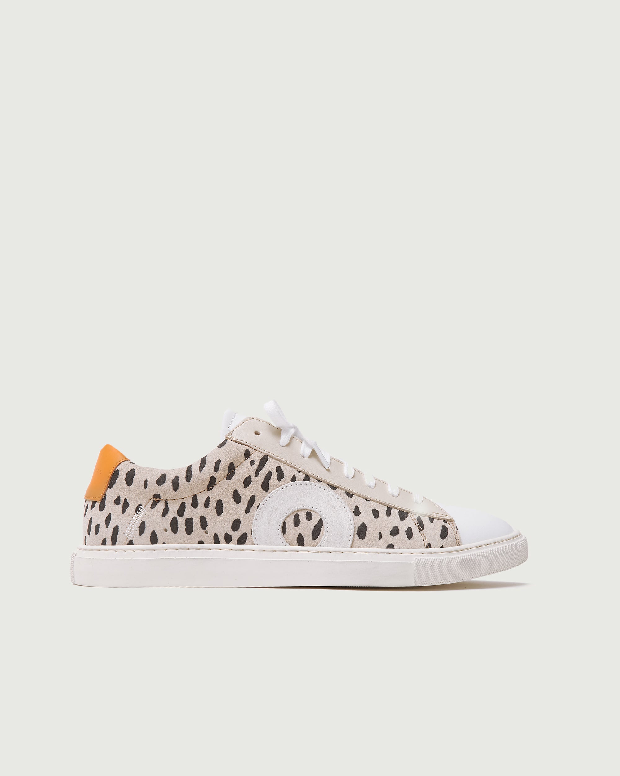Low 1 | Jolla